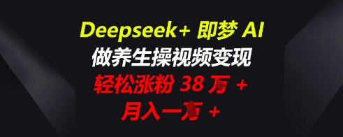 Deepseek+即梦AI，做养生操视频变现，轻松涨粉38W+，月入一W+-寻风互联