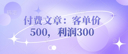 付费文章：客单价500，利润300-寻风互联