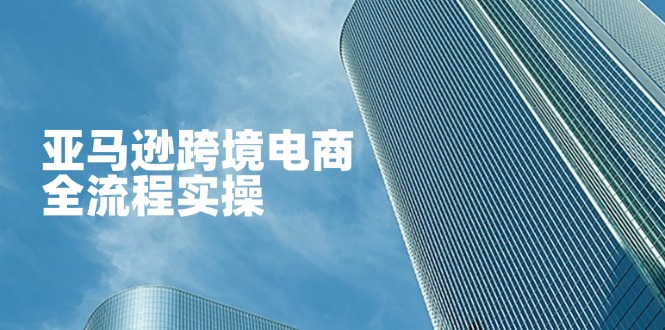 (14252期)亚马逊跨境电商全流程实操,教你从零开始,掌握店铺运营与广告技巧-寻风互联
