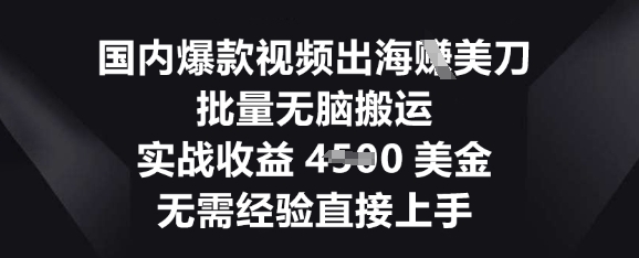 国内爆款视频出海挣美刀，批量无脑搬运，实战收益4.5k，无需经验直接上手-寻风互联