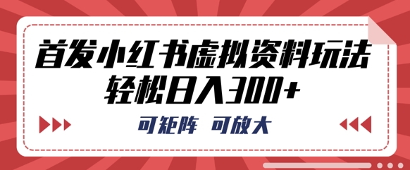 首发小红书虚拟资料玩法,可矩阵,可放大,轻松日入3张-寻风互联