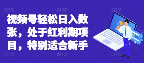 视频号轻松日入数张，处于红利期项目，特别适合新手-寻风互联