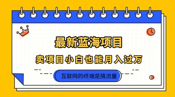 （14289期）2025年最新蓝海项目，卖项目小白也能月入过万-寻风互联