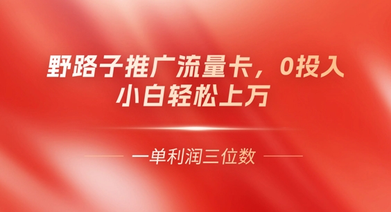 0门槛推广流量卡,一单收益上百,0投入,小白月入过W-寻风互联
