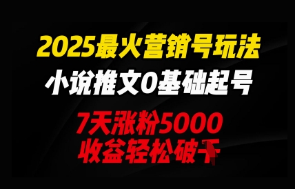 2025最火营销号玩法：小说推文0基础起号，7天涨粉5000，收益轻松破k-寻风互联