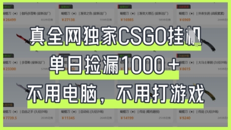 真全网独家CSGO挂G，单日捡漏1k+【揭秘】-寻风互联