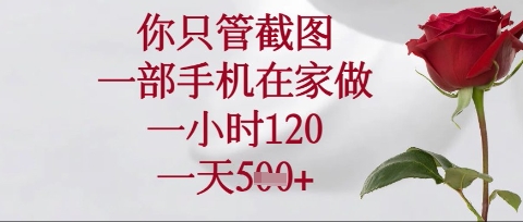 你只管截图，一部手机在家操作，一小时120.一天5张【揭秘】-寻风互联